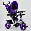 Триколісний велосипед Best Trike 5700-4450
